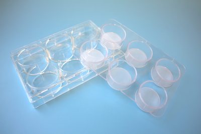 Multi-well-strainer, 1 plate. 6-wells strainer plate, 72 µm, sterile, 1 pcs