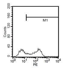 4.gif